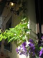  H�rliga f�rger